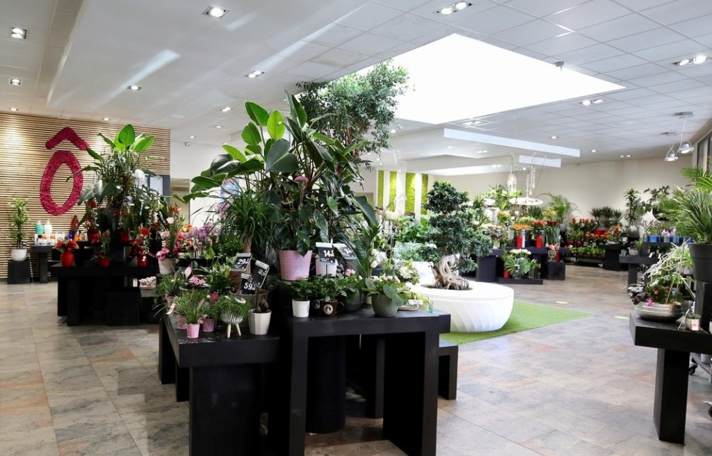Intérieur boutique Fleurs Ô Naturel