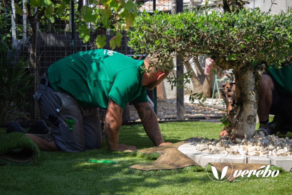 Rejoindre le réseau Verébo