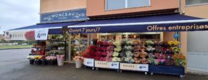Boutique Monceau Fleurs Danjoutin