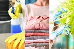 Activités MerciPlus