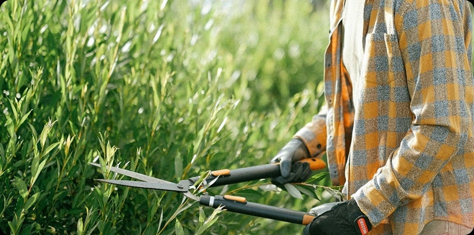 Taille de haie ZYNNIA 