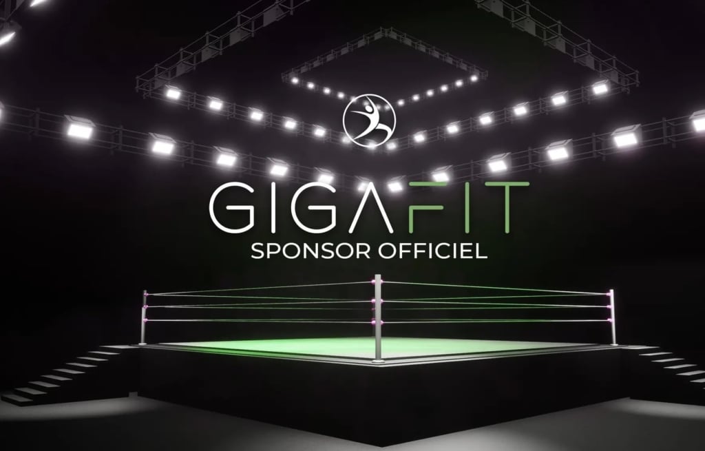 GIGAFIT - championnat du monde de kickboxing