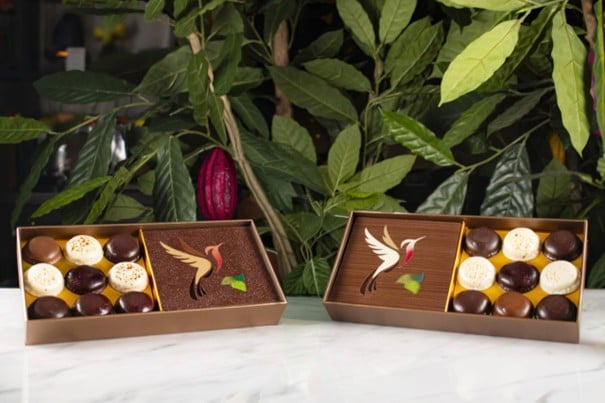 Colibri Chocolats Yves Thuriès 