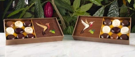 Les Chocolats Yves Thuriès en franchise : le modèle idéal pour entreprendre dans le chocolat premium