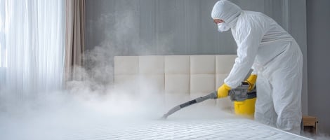 Pestaly annonce l’arrivée de deux nouveaux franchisés à Limoges et Blois