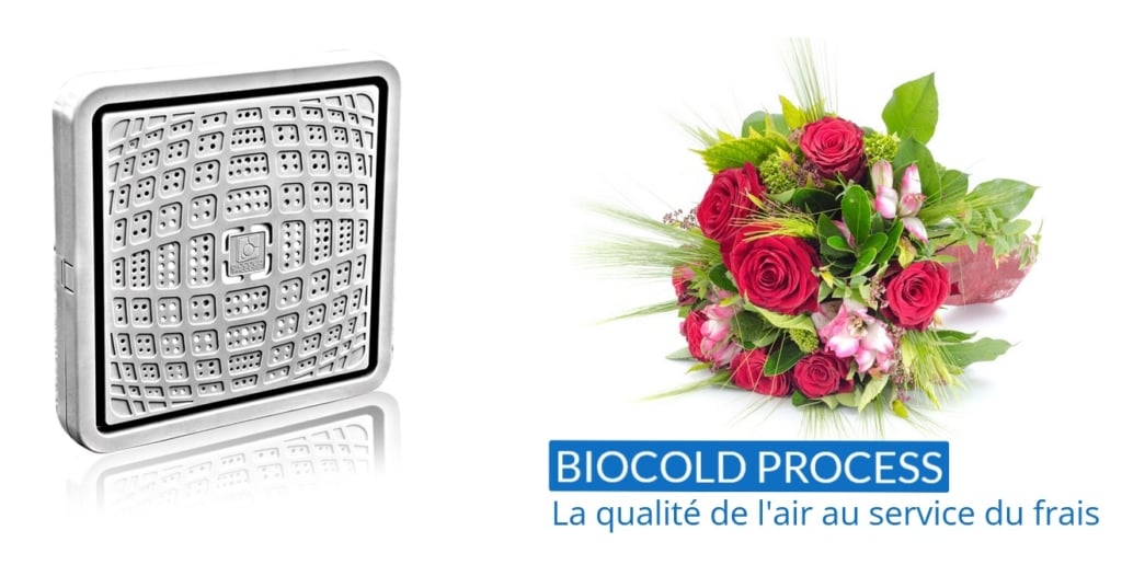BIOCOLD PROCESS - amélioration de la qualité de l’air dans les espaces réfrigérés