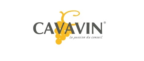 Logo franchise CAVAVIN 
