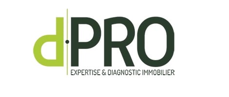 Logo franchise d.PRO 