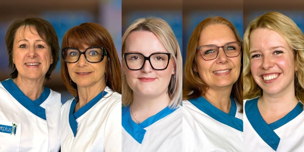 dietplus : nouvelles franchisées du mois de juillet 2026