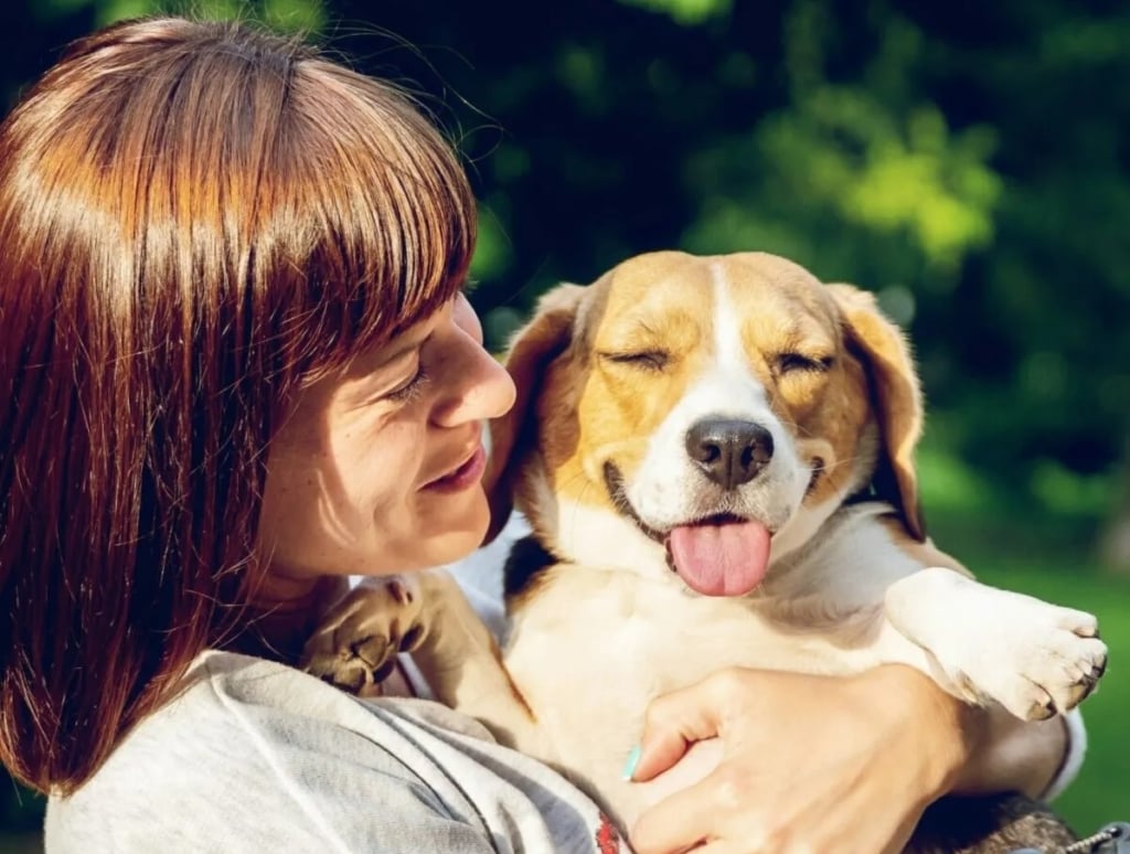 Franchise Domianim - garde d'animaux