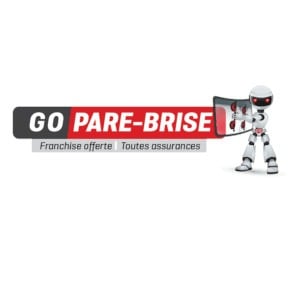 GO PARE BRISE