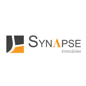 Franchise SYNAPSE Immobilier (à supprimer- étrangère)