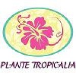 Franchise Jardinerie Plante Tropicalia