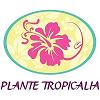 Franchise Jardinerie Plante Tropicalia