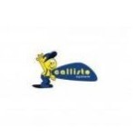 Franchise CALLISTO SYSTEM