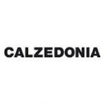 Franchise CALZEDONIA