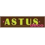 Franchise astusdeco