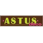 Franchise astusdeco