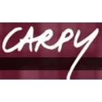 Franchise CARPY COIFFEUR