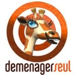 Franchise DEMENAGERSEUL