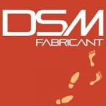 Franchise DSM DIFFUSION SOL MUR