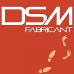 Franchise DSM DIFFUSION SOL MUR
