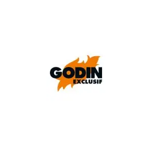 Franchise CHEMINÉES GODIN