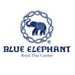 Franchise BLUE ELEPHANT