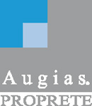 Franchise AUGIAS PROPRETE