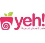 Franchise YEH! YOGOURT GLACE ET CAFE