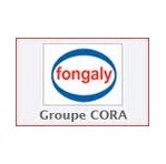 Fongaly Gestion