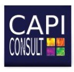Franchise CAPI CONSULT