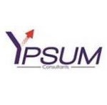 YPSUM Consultants