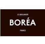 Franchise BOREA