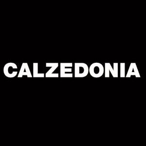 Logo Franchise Calzedonia