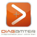 Franchise Diagamter, logo