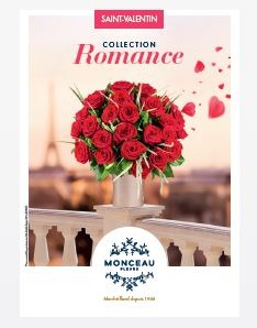 Franchise Monceau Fleurs Des Moyens De Communication Puissants