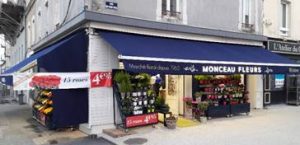 Magasin Monceau Fleurs La Roche sur Yon