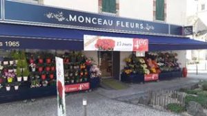 Magasin Monceau Fleurs La Roche sur Yon