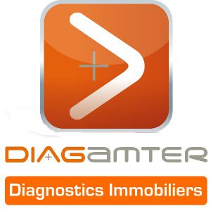 Logo Franchise Diagamter