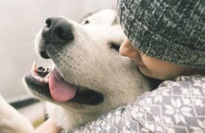 chien Pet's Planet