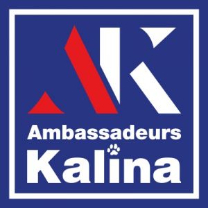 Franchise Ambassadeurs Kalina