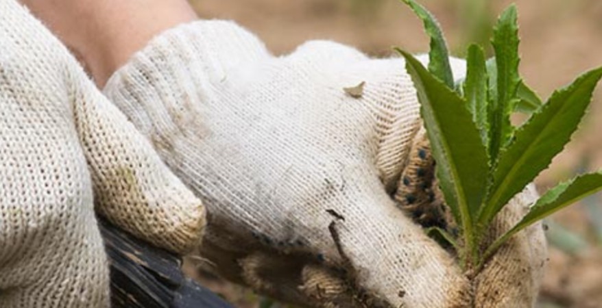 Chez O2 Care Services : Jardinière-paysagiste et fière de l’être