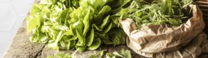 Focus sur le concept de la franchise Naturalia