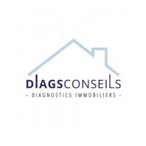Franchise DIAGS CONSEILS