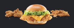 Franchise Chicken House Burgers 