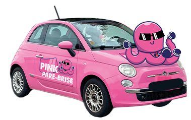 Pink Pare-Brise 