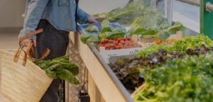 Potager City 