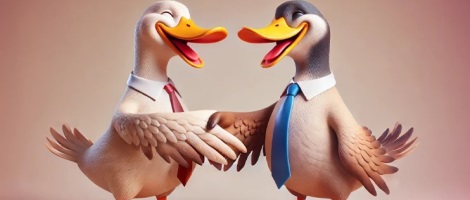 Coup de projecteur sur la franchise Smart Duck