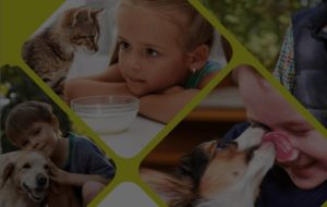 Franchise Direct Croquette